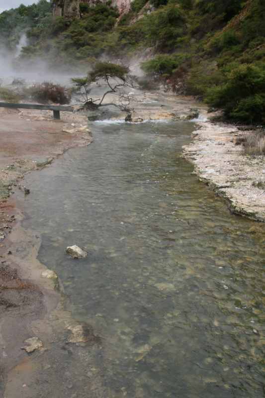 Nieuw-Zeeland 2011 - 0698
